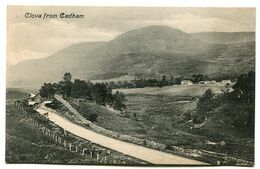 Clova From Cadham - Fife