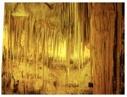 (K 26) Australia - SA - Mt Gambier Tantanoola Cave (W 14) - Mt.Gambier