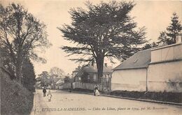 27-EVREUX-LA- MADELEINE- CEDRE DU LIBAN, PLANTE EN 1794, PAR M BEAUCANTIN - Arbres