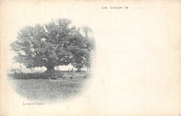 28-LA-LOUPE- LE GROS CHÊNE - Trees