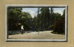 Nederland, BERGEN OP ZOOM, Volkspark (1916) Ansichtkaart - Bergen Op Zoom