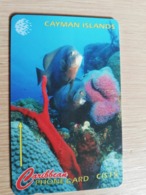 CAYMAN ISLANDS  CI $ 15,-  CAY-64B  CONTROL NR 64CCIB  FISH AND CORAL  GRAND CAYMAN       Fine Used Card  ** 3100** - Kaimaninseln (Cayman I.)