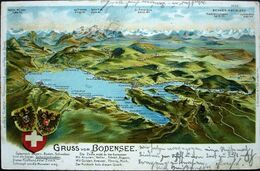 LITHO Gruss Vom BODENSEE Gel. 1903 V. Romanshorn - Romanshorn