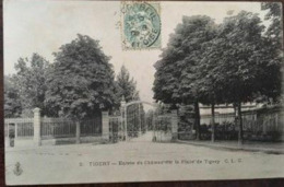 Cpa De 1906- TIGERY - ENTREE DU CHATEAU SUR LA PLACE DE TIGERY (91-Essonne), éd CLC - Sonstige & Ohne Zuordnung
