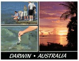 (M 6) Australia - NT - Darwin (with Stamp) (NT014) - Uluru & The Olgas