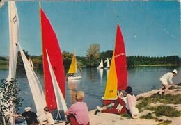 MER. - Promenades En Voiliers. CPM RARE - Mer