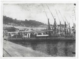 TORPILLEUR 289 BONE ALGERIE OCTOBRE 1913 - PHOTO - Boats