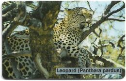 Namibia - Telecom Namibia - Leopard, Chip Siemens S30, (Cn. NAEIBxxxx Xxxx, Dashed Ø), 20$, Used - Namibië