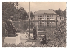 Bad Brambach - Blick Zur Festhalle (FDGB-Volksheilbad) - 1961 - Bad Brambach