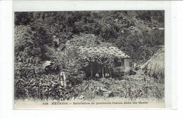 CPA ILE DE LA REUNION - 538. HABITATION DE PLANTEURS BLANCS DANS LES HAUTS - Réunion