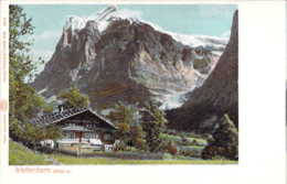 SUISSE SCHWEIZ BE Wetterhorn GRINDENWALD Wherli 3586 Carte Précurseur - Wald