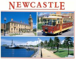(N 17) Australia - NSW - Newcastle (with Tram Bus - (7029) - Newcastle