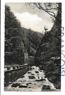 Höllental In Schwarzwald. Beim Hirschsprung. Près Du Saut Du Cerf. - Höllental