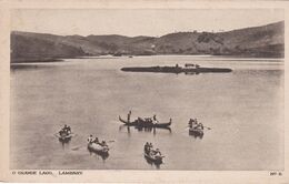 POSTCARD BRASIL BRAZIL  - O GRANDE LAGO   -    LAMBARY - MINAS GERAIS - Belo Horizonte