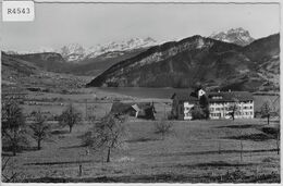 Steinerberg - St. Annaheim Mit Lauerzersee, Frohnalpstock Und Alpen - Lauerz