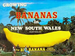 (Booklet 106) Australia - NSW - Coffs Harbour (Banana) - Coffs Harbour