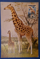 A22 ESPAGNE TANGER BELLE CARTE  MAXI 1956 + AFFRANCHISSEMENT PLAISANT + DESSINS GIRAFFES - Storia Postale