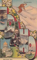 Idaho Large Letter Greetings, Skiing State Capitol Building, C1930s/40s Linen Postcard - Other & Unclassified