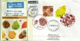 Greetings Automn 2020 ! Letter From Tokyo, Sent During Lockdown COVID19 Andorra, With Arrival Sticker STAY AT HOME - Lettres & Documents