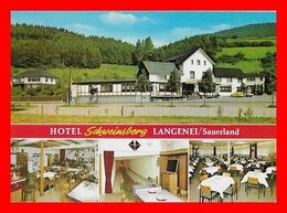 CPSM/gf  LENNESTADT (Allemagne)  Hotel-Pension Schweinsberg..I480 - Lennestadt