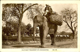 CARTE PHOTO LES ELEPHANTS SONT CHARGES DU TRANSPORT ELEPHANT TRANSPORT OF AFGHANISTAN - Afghanistan