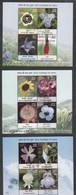 INDIA, 2013, FIRST DAY JABALPUR  CANCELLED, Wild Flowers Of India, Complete Set Of 3 Miniature Sheets, - Gebraucht