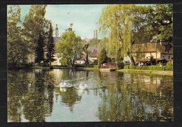 (2909) AK Sulzbach-Rosenberg - Partie Am Stadtweiher - Sulzbach-Rosenberg