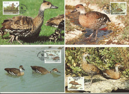 LOT 4 CARTES MAXIMUM  WWF  BAHAMAS Dendrocygne Des Antilles / WEST INDIAN WHISTLING DUCK. - Maximumkarten