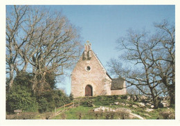 BLAIN. - Chapelle Saint-Roch. CPM RARE - Blain