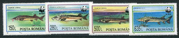 ROMANIA 1994 Sturgeons MNH / **.  Michel 5034-37 - Neufs