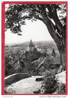 CPSM 39 ORGELET Paysage Vu Du Vieux Chateau   * Format CPM - Orgelet