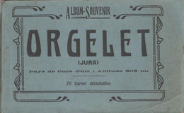 ALBUM SOUVENIR ORGELET - Pays De Cure D'air - Altitude 508m (train Animé ORGIER MERLIA MERONA REVIGNY MARANGEA ECRILLES) - Orgelet