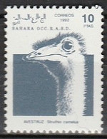 Sahara Occidentale 1992 - Autruche - Ostriches