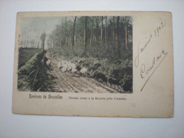 ASSCHE 1902 - CHEMIN CREUX A LA MORETTE - NELS SERIE 11 N° 156 - Asse