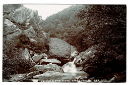 Ref 1402 - Early Real Photo Postcard - Feline Wydd Rocks - Einion Valley Wales - Unknown County