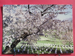 USA - Arlington National Cemetery - Spring - Excellent état - Arlington