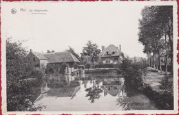 Mol De Watermolen Antwerpse Kempen (In Zeer Goede Staat) - Mol