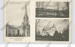 5303 BORNHEIM - ROISDORF, Pfarrkirche, Burg, Sauerbrunnen, 1922, Kl. Druckstelle - Bornheim