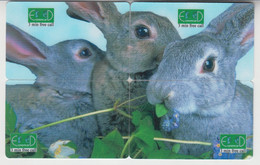 ISRAEL RABBIT HARE PUZZLE - Lapins