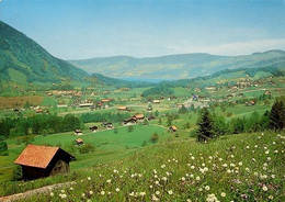 SATTEL-HOCHSTUCKLI Blick Zum Aegerisee - Sattel