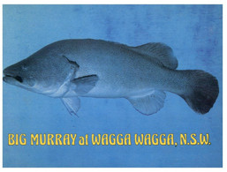 (R 1) Australia - NSW - Wagga Wagga (with Big Murray Fish) (W 14) - Wagga Wagga