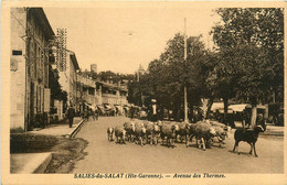 Salies Du Salat * Avenue Des Thermes * Berger - Salies-du-Salat