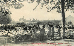 Chatillon Coligny * Marché Foire Aux Moutons * 20 Mai 1908 * La Plus Importante De La Région - Chatillon Coligny