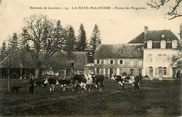 Louviers * La Haye Malherbe * Ferme Des Hoguettes * Exploitation Agricole Troupeau Agriculture - Louviers