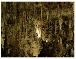 (R 18 B) Australia - WA - Mammoth Cave Margaret River - Sonstige & Ohne Zuordnung