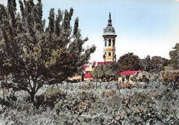 VIDAUBAN - Clocher De L'Eglise - Vidauban