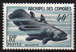 COMORES N° 13 X Faune Marine : Coelacanthe Trace De Charnière Sinon TB - Sonstige & Ohne Zuordnung