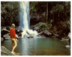 (R 22) Australia - QLD - Mt Tambourine Curtis Creek Waterfall (W9) - Atherton Tablelands