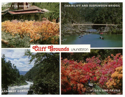 (R 25) Australia  - TAS - Launceston Cliff Grounds (DS 261) - Lauceston