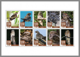 SIERRA LEONE 2020 MNH Nightjars Ziegenmelker Engoulevent M/S - OFFICIAL ISSUE - DHQ2040 - Schwalben